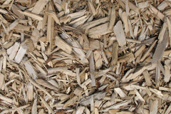 biomass boilers Polborder